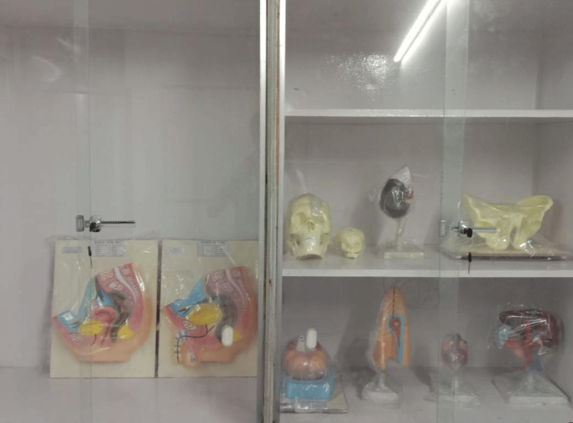 Indo Global Healthcare Institute College Activities photo 33